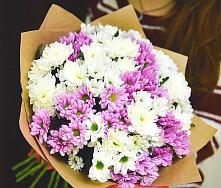 Букет цветов из:  Хризантемы #REPLACE_PRED# Подъячево